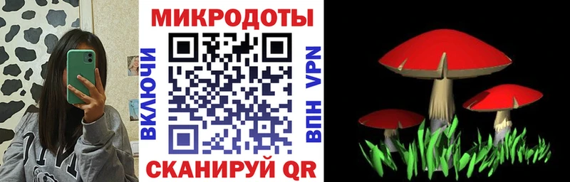 Галлюциногенные грибы Cubensis  Купить где  Керчь 